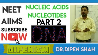 NUCLEOTIDES Composition | Nucleic Acids | 12th Board Exams #Dipenism #NEET #BIOLOGY