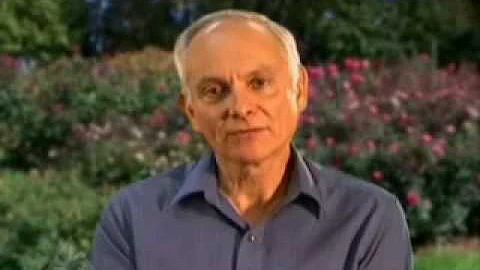 B12 B6 and Folic Acid