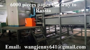 6000 pieces paper egg tray to Russia--0086-15153504975