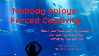David Isbister: No More Dead Captives Aquarium Demo this weekend