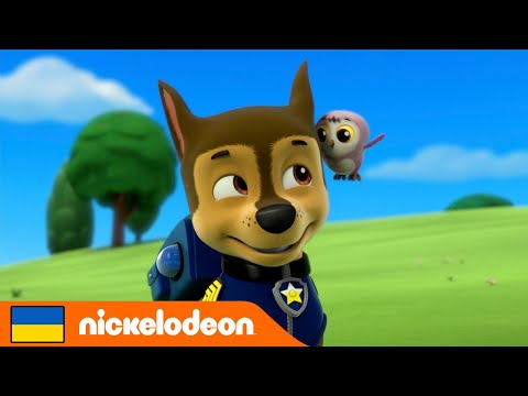 Щенячий патруль | Цуценята рятують совеня! | Nickelodeon Cyrillic