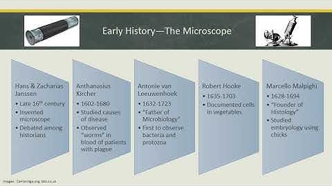 Lecture 2:  History of Laboratory Science