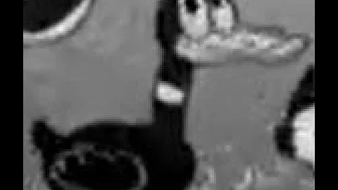 i'm just a crazy, darn fool duck