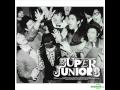 Super Junior Sorry Sorry Instrumental mp3