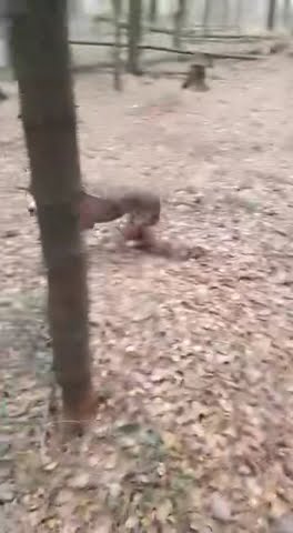 youtube.com