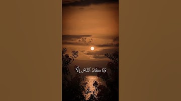 وما كان الناس إلا أمةً واحدة فاختلفوا | تلاوة مؤثرة للقارئ عبد الرحمن مسعد 😌🤍