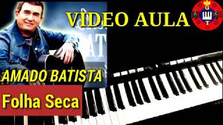 Video thumbnail of "Video Aula Folha Seca Amado Batista no Teclado"