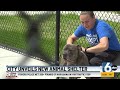 Indianapolis leaders cut ribbon on new animal shelter