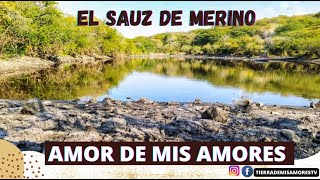 El Sauz de Merino "Amor de mis Amores"