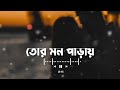 Tor Mon Paray (তোর মন পাড়ায়) || Mahdi Sultan || Bangla LoFi Song Mp3 Song