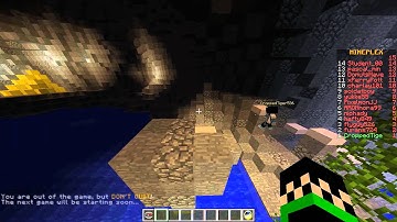 Caught Hacking on Mineplex: CroppedTiger536