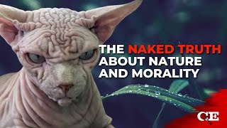 If Nature Is Our Guide, Then Morality Is Lost