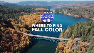 Hidden Fall Colors in NorCal: Discover Burney’s Brilliant Autumn Secret | Bartell's Backroads