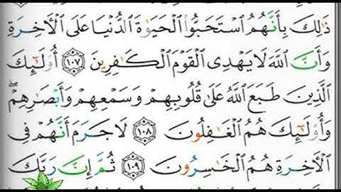 مصحف التجويد صفحة 279 إبراهيم الأخضر 🕋🕋