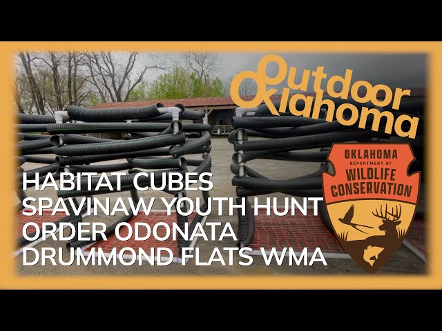 Watch Outdoor Oklahoma Ep. 4817 (Habitat cubes, Spavinaw Youth Hunt, Field Notes, Drummond Flats) on YouTube.