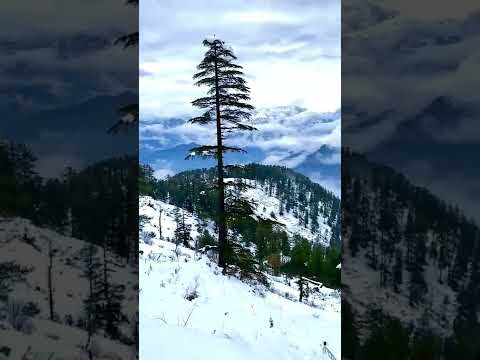 Heavy snowfall in nainital | #uttrakhand  #short #reels #snowfall #snow #nainital