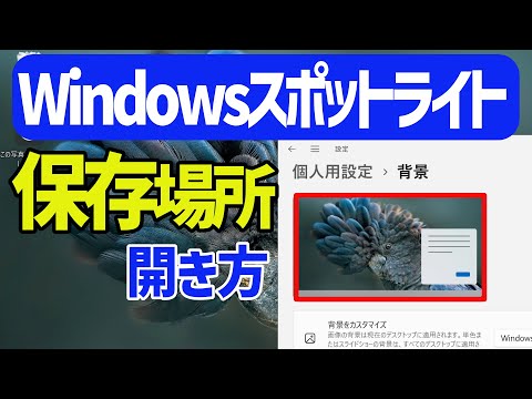 【Windows 11】windowsスポットライト画像が保存されている場所について hqdefault