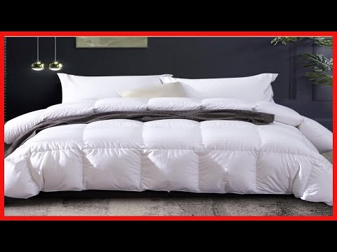 Globon Goose Down Comforter Queen Size All Season Duvet Insert Ultra-Soft 100% Cotton, 38OZ