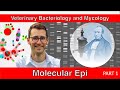 Molecular epidemiology part 1  veterinary bacteriology and mycology