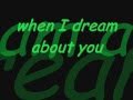 When I Dream About You w/ lyrics - Stevie B. (rock cover)