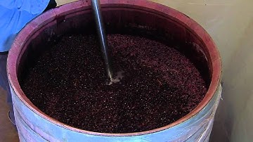 Donelan Wines Video: The Punch Down