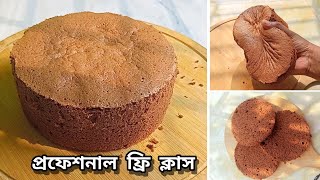 প্রফেশনাল নো ফেইল রেসিপিতে ২ ডিমের চকলেট স্পন্জ্ঞ কেক তৈরির ক্লাস | 2 Egg Chocolate Sponge Cake