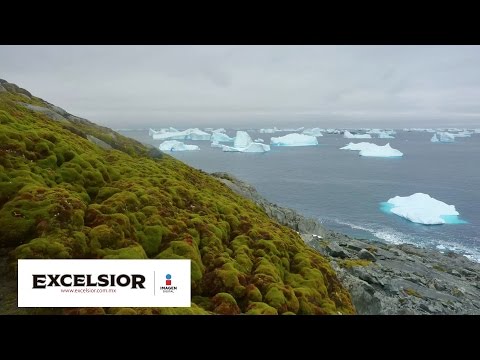 Vídeo: La Antártida Se Está Volviendo Verde Rápidamente - Vista Alternativa