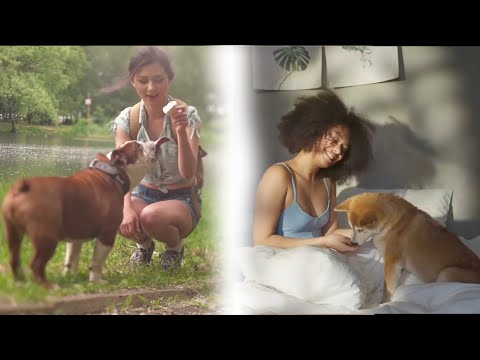 Lovely Smart Girl Playing Baby Cute Dog | Beautiful Animals