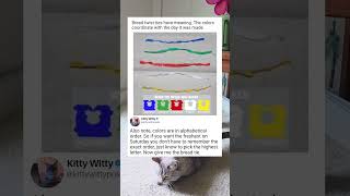 Secret Code Behind Bread Tie Colors