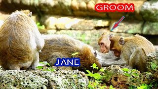 JANNA GROOMS JANE AND OBSERVE JANE'S ACT, BUT JANE DOESN'T CARE AND SLEEP,SHE IS HOPELESS & WALK OUT