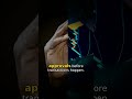 Stop Using Crypto Wallets Like This (You're Getting Hacked)