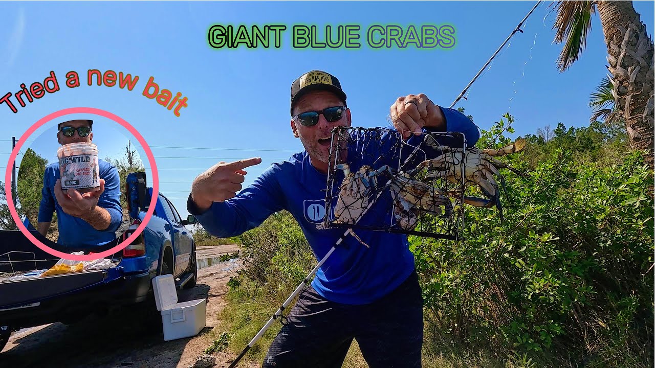 THE BEST WAY TO CATCH BLUE CRAB!!!