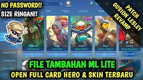 Data Open Full Card Hero & Skin Terbaru Patch Gusion Lesley Revamp | File Tambahan ml lite