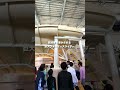 九州最大級の室内プールが色々凄かった...