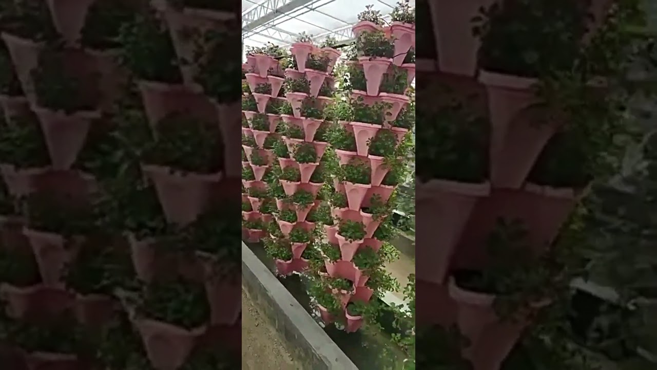 Cheap Plastic Stackable Flower Pots for Plants 