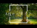 【フリーBGM】木陰のベンチで 1時間版【優しいギター/作業用BGM】