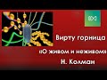 О живом и неживом - беседа с Натальей Колман