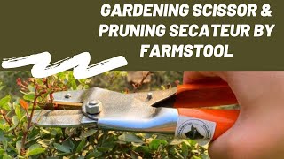 Gardening Pruning Secateurs - Buyer's Guide