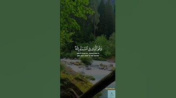 #عبدالملك الراجح سورة الزخرف #اكسبلور #قرآن #قران_كريم #الله #
