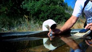 Spring Flow Rate Tutorial
