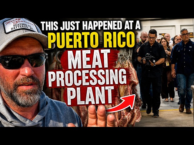 This Just Happened at a Puerto Rico Meat Processing Plant - A USDA Facility (Video)