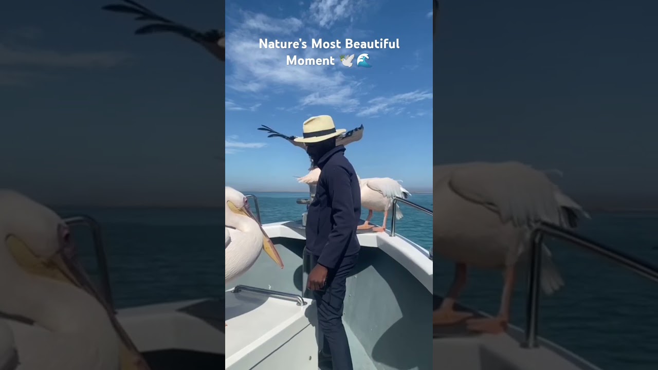 A rare and powerful moment at sea 