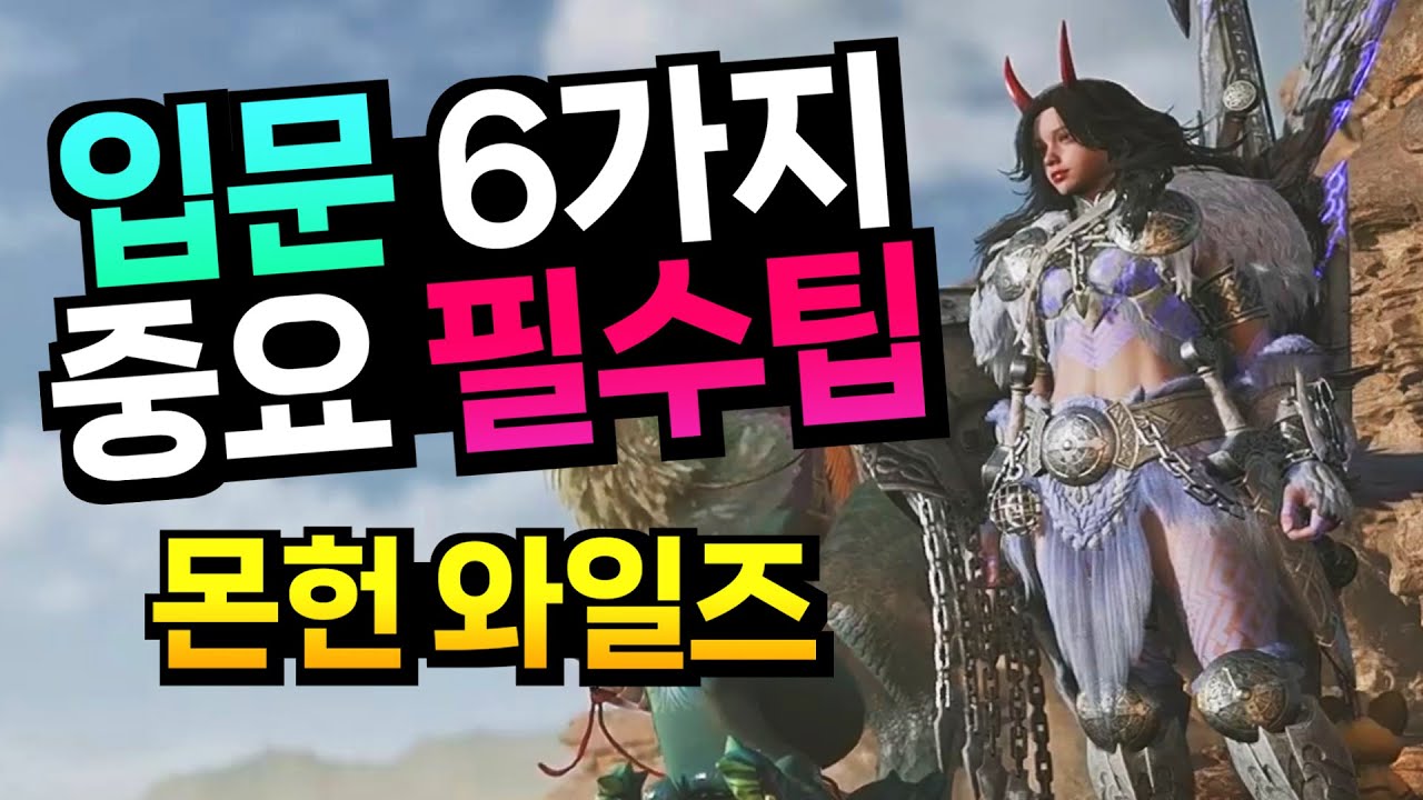 몬스터 헌터 와일즈 뉴비가 알아야할 필수팁 6가지