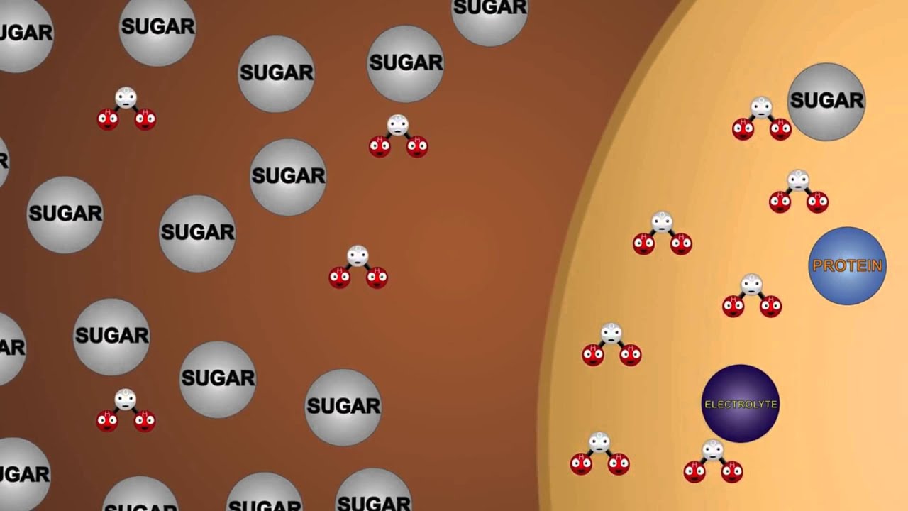 الخاصية الاسموزية