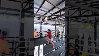 Boxing mittwork drills for Muay Thai #mittwork #muaythai #boxing