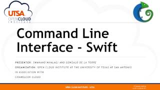 Lab 19 Command Line Interface - Swift