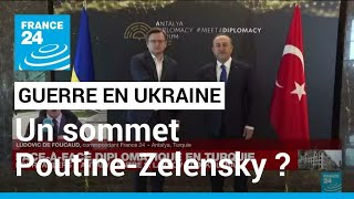Ukraine : après Antalya, la Turquie espère un sommet Poutine-Zelensky • FRANCE 24