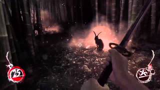 Shadow Warrior Sexy bunny nightmare secret