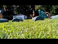 Hall/St. Bede Football Practice