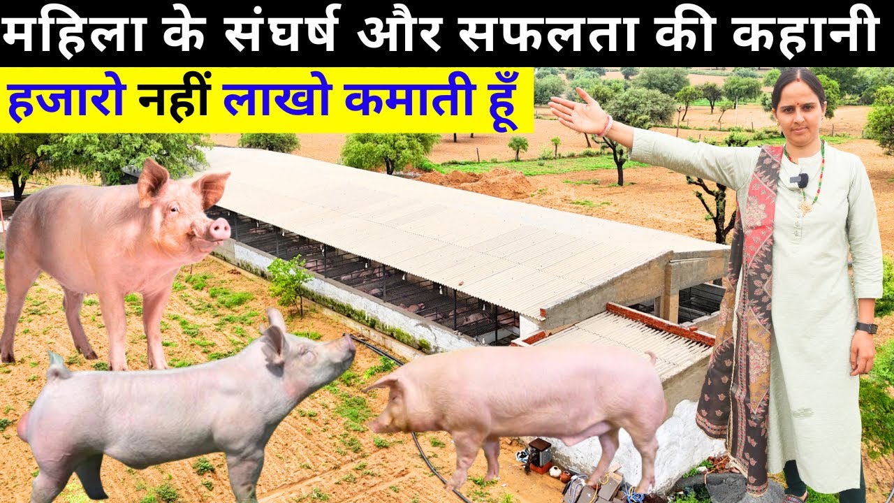 Pig फार्मिंग से 20 लाख सालाना 💰😯  II Pig Farming II Pig Farm II Pig Farm II Pig Farming In India